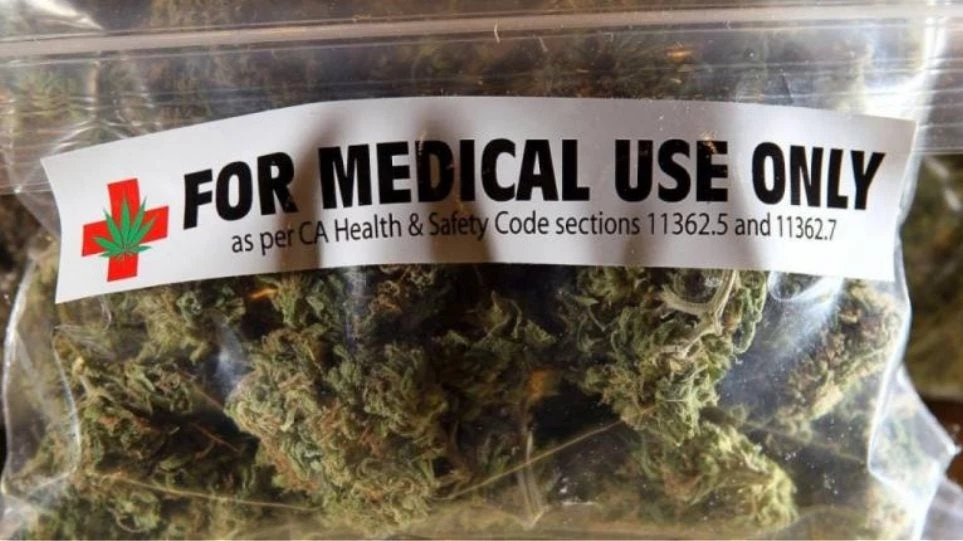 Η πρόεδρος του ΕΟΦ αδειάζει την Κυβέρνηση για την κάνναβη: Περιορισμένες και σε ερευνητικό στάδιο οι ενδείξεις για τη χορήγηση